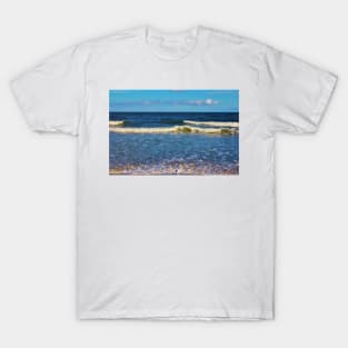 South Carolina Beach T-Shirt